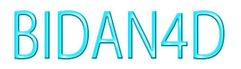 BIDAN4D
